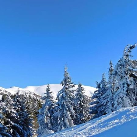 Stara Planina Vila Vesela Kuca Jalovik Izvor Exteriör bild