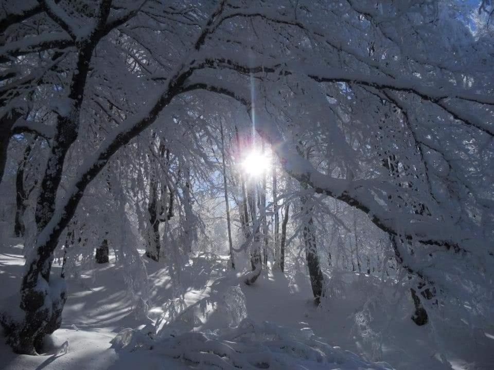 Stara Planina Vila Vesela Kuca Jalovik Izvor Exteriör bild