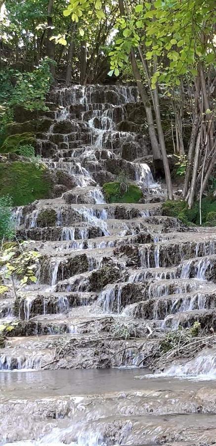 Stara Planina Vila Vesela Kuca Jalovik Izvor Exteriör bild