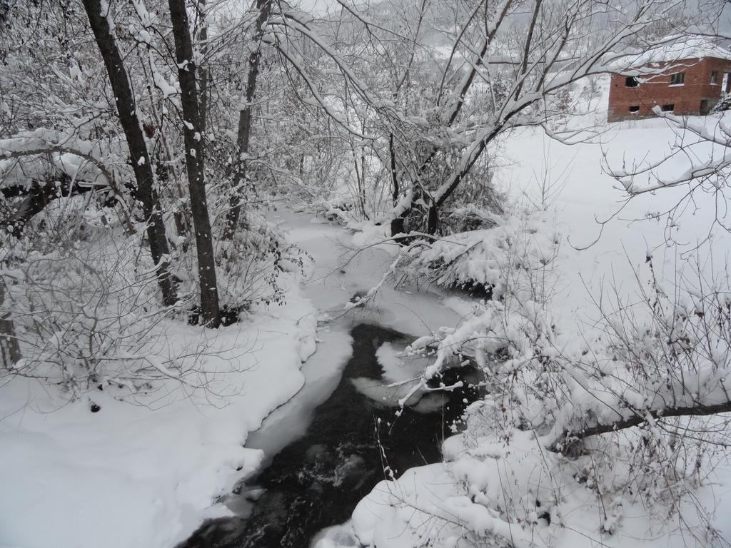Stara Planina Vila Vesela Kuca Jalovik Izvor Exteriör bild