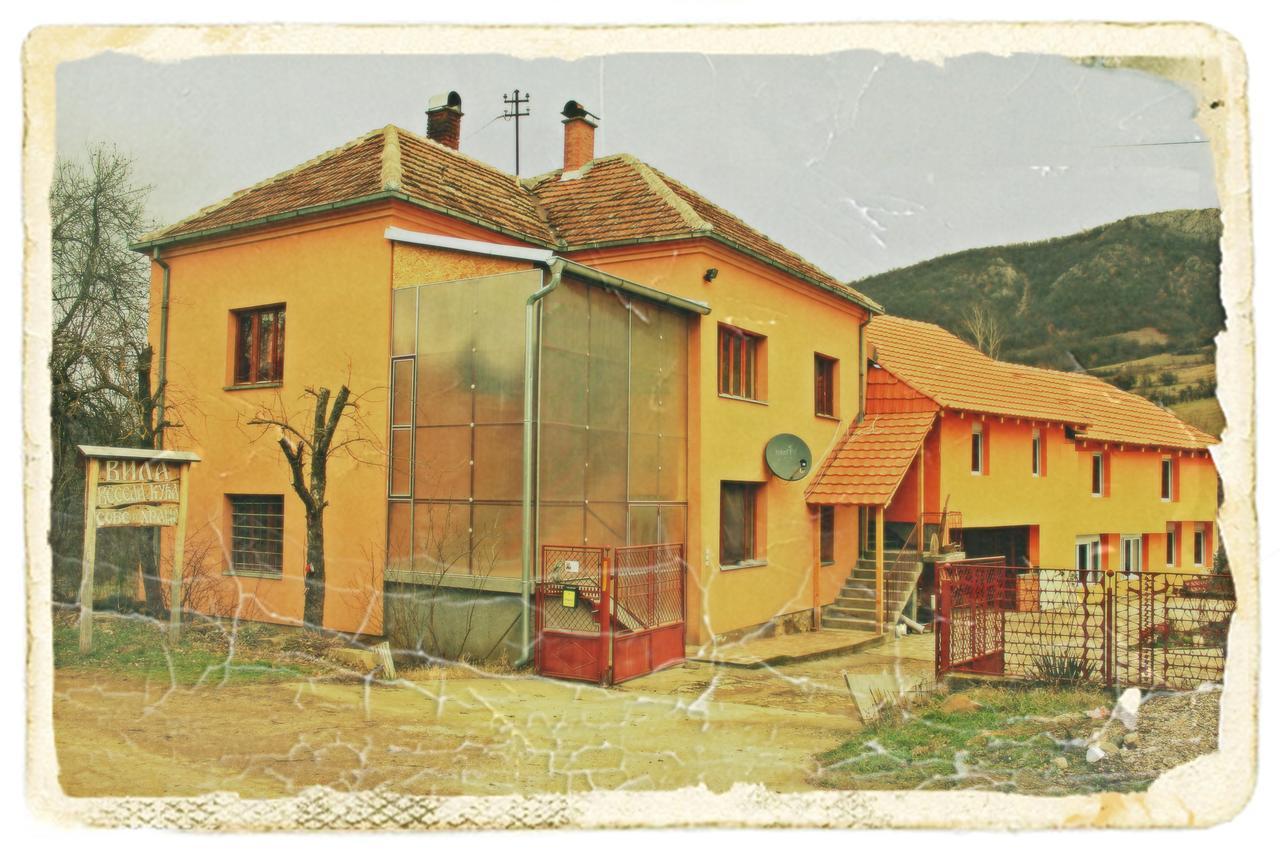 Stara Planina Vila Vesela Kuca Jalovik Izvor Exteriör bild